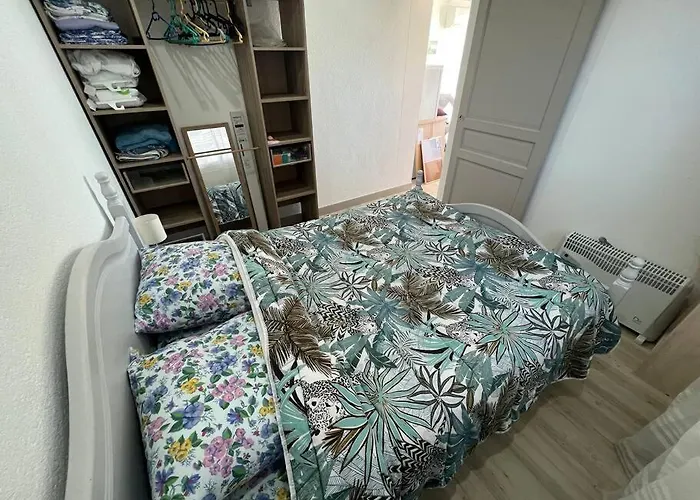 Le Carrousel - Vue - A 10 M - Clim - Wifi *